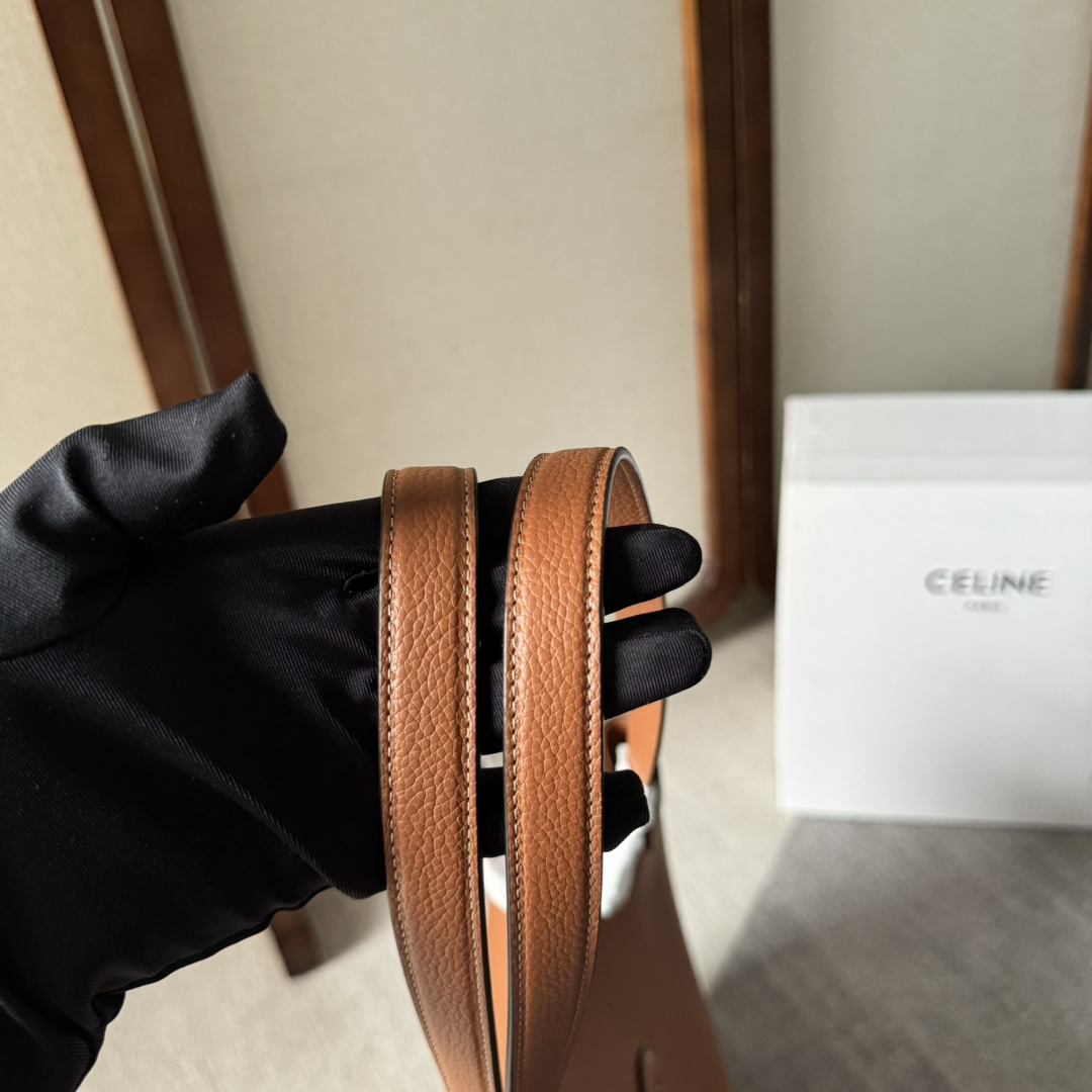 Celine Medium Cabas Anais Cuir Triomphe In Grained Calfskin - PerfectKickZ