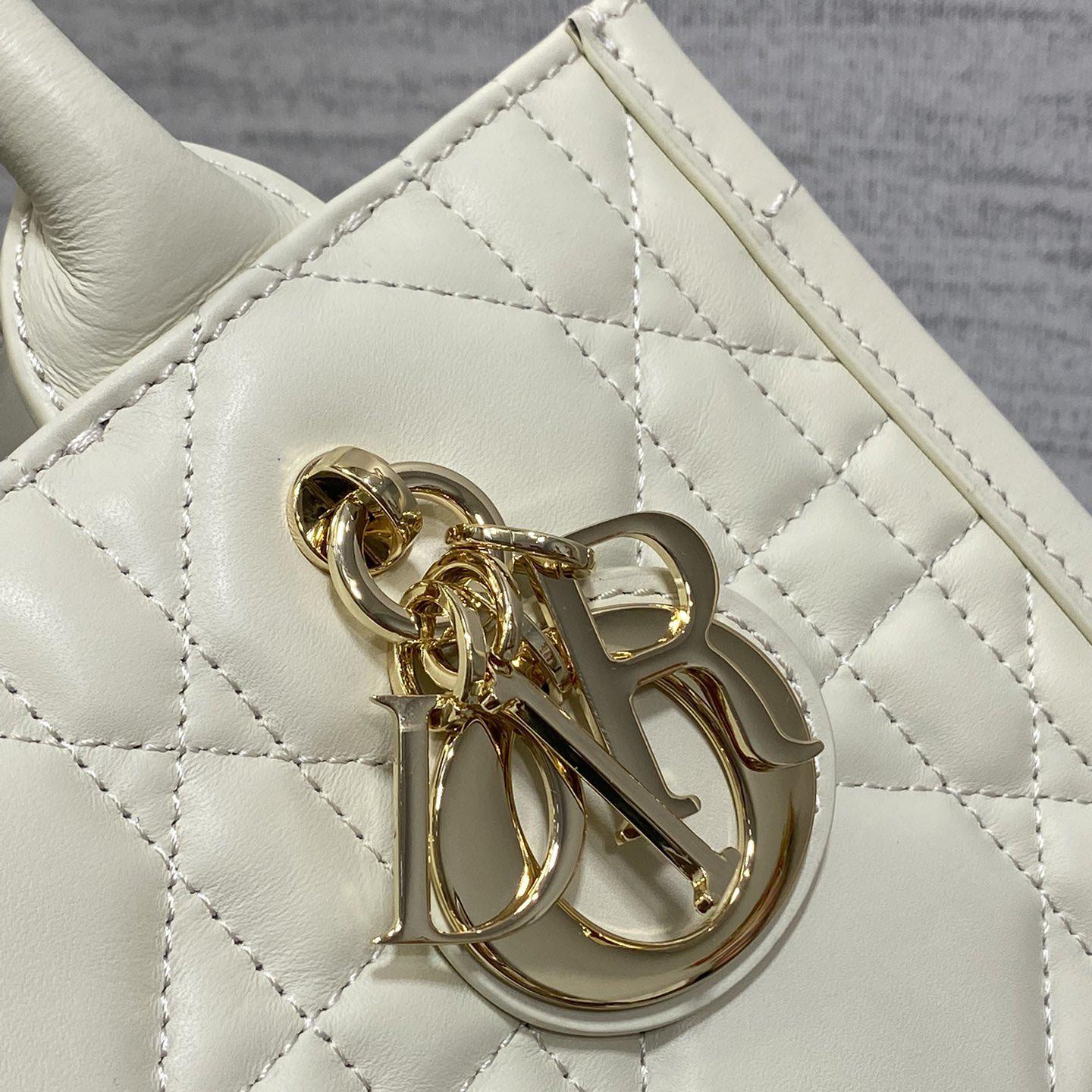 Dior Small Dior Book Tote - PerfectKickZ