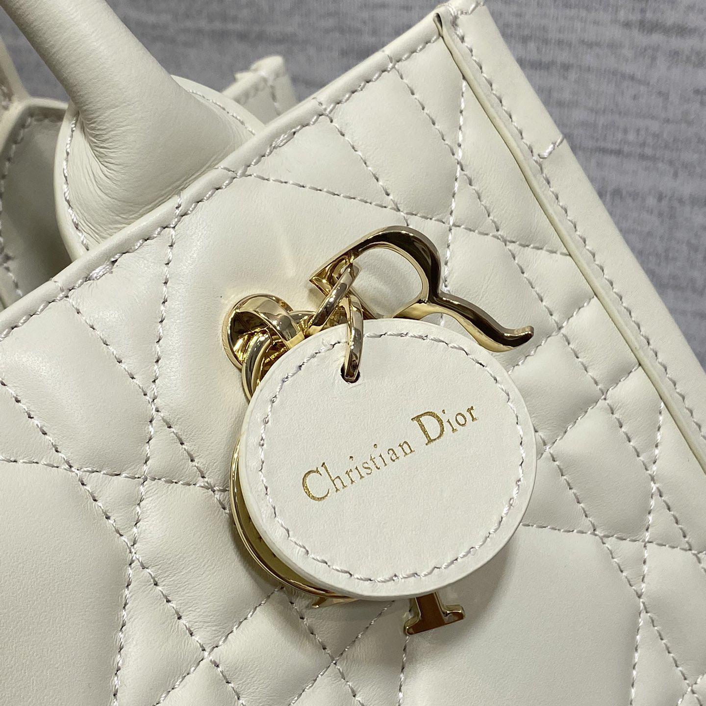 Dior Small Dior Book Tote - PerfectKickZ