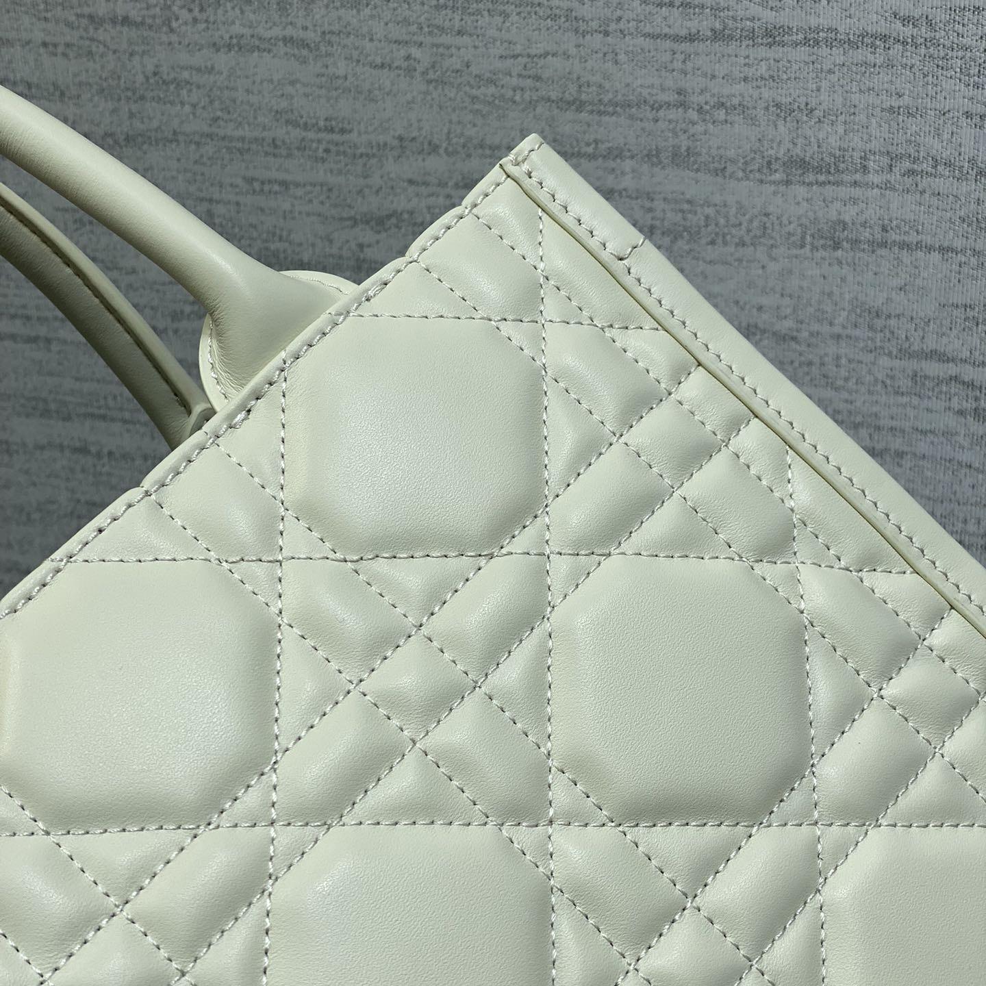 Dior Small Dior Book Tote - PerfectKickZ