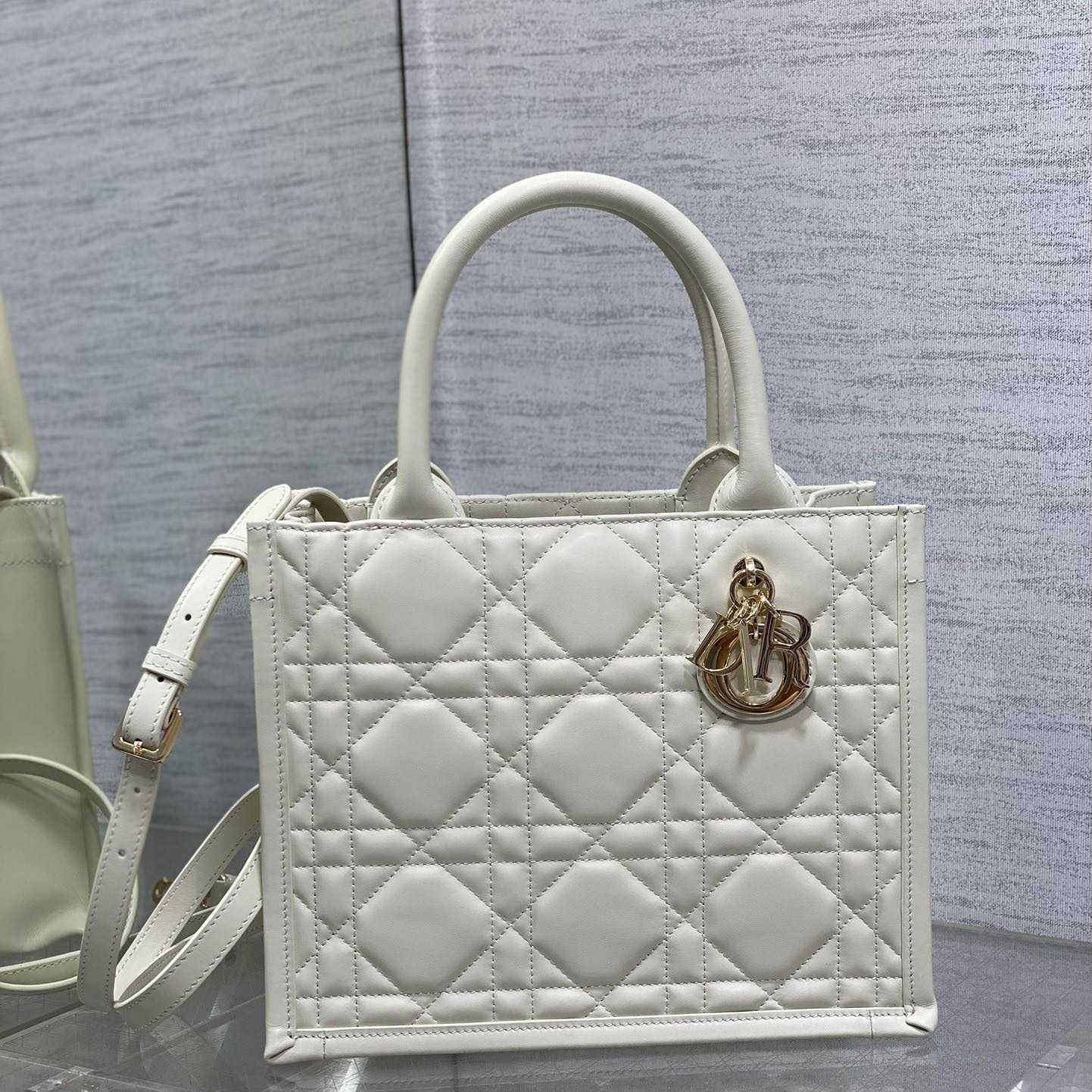Dior Small Dior Book Tote - PerfectKickZ