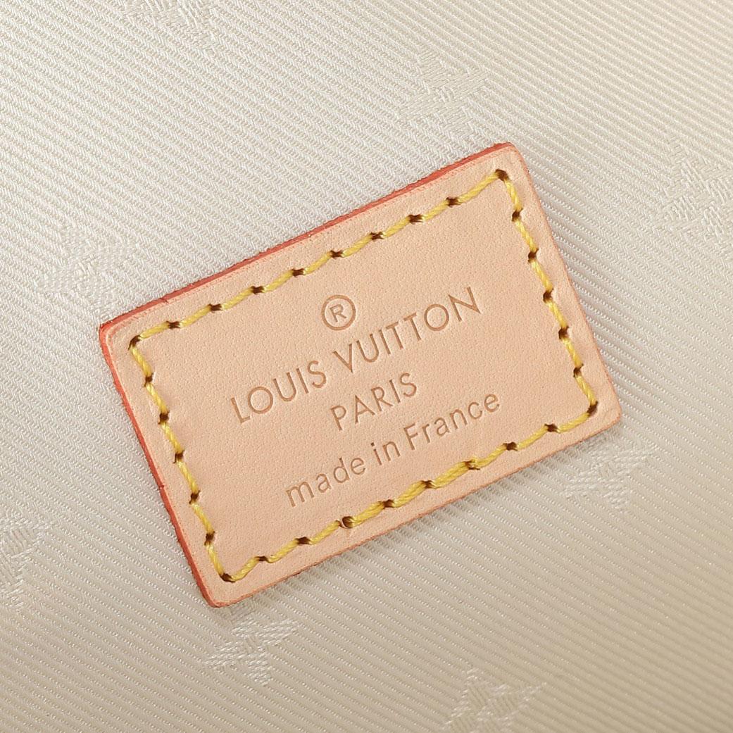 Louis Vuitton Wallet on Chain Ivy    M83499 - PerfectKickZ