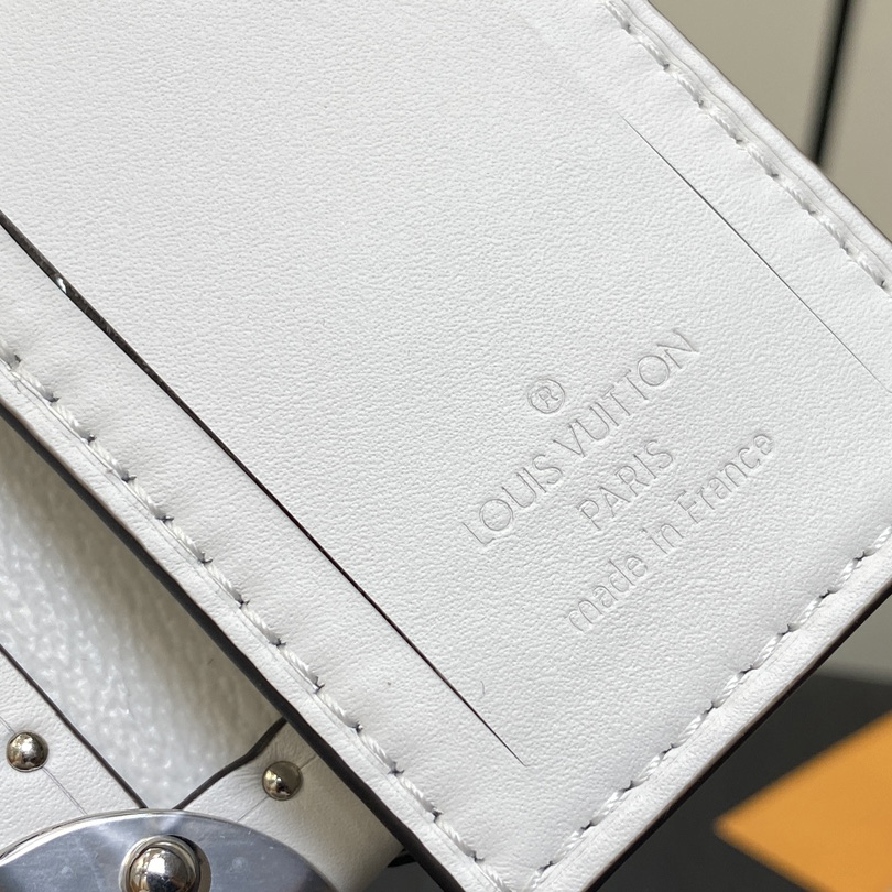 Louis Vuitton Clutch Box   M20251 - PerfectKickZ