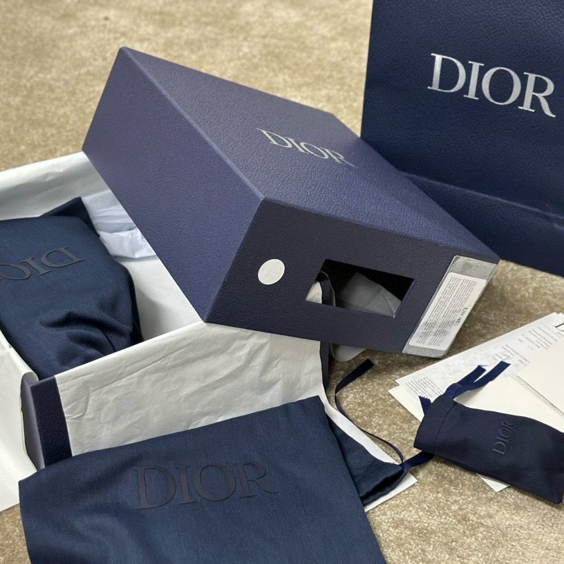 Dior B22 Sneaker  - PerfectKickZ