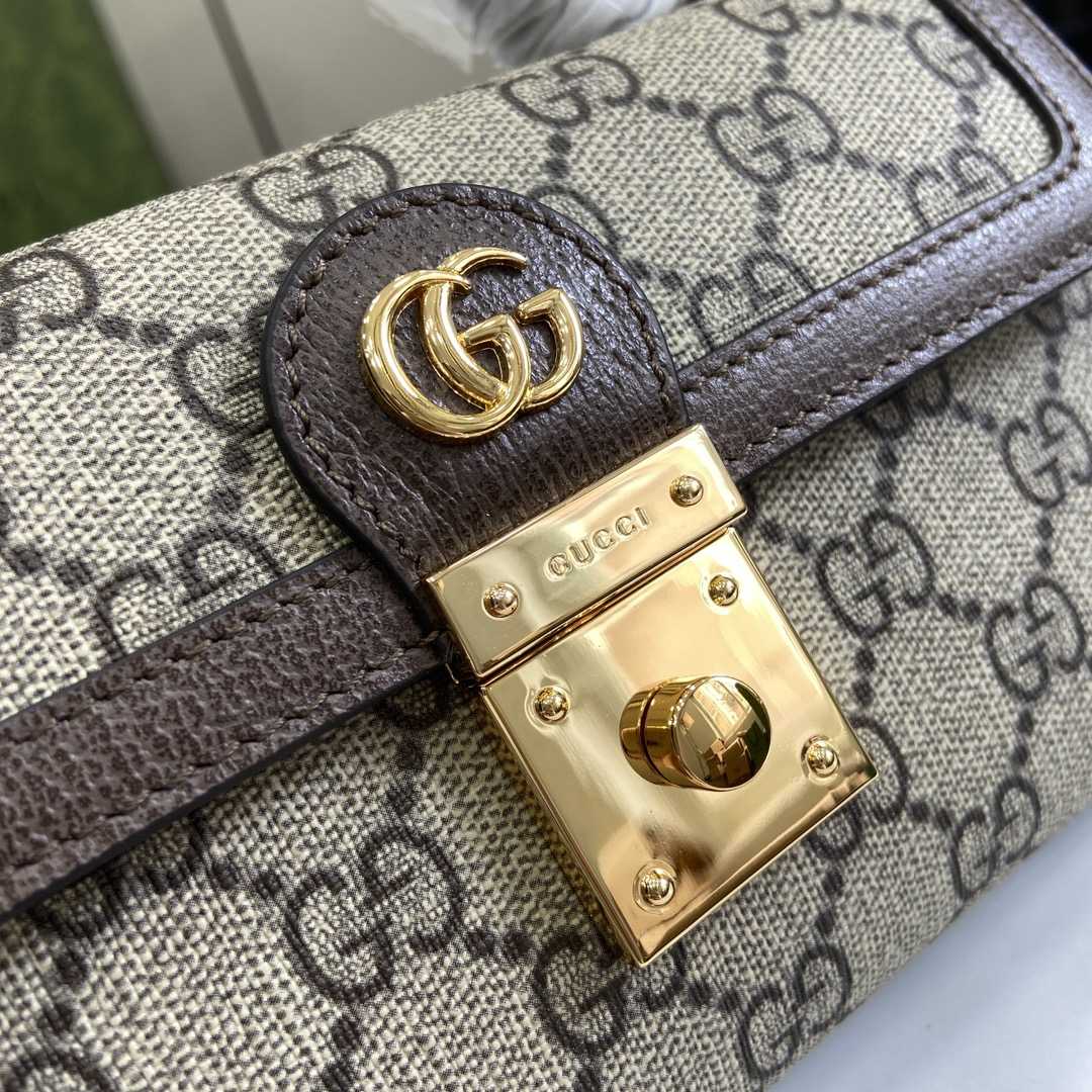 Gucci Ophidia Mini Bag - PerfectKickZ