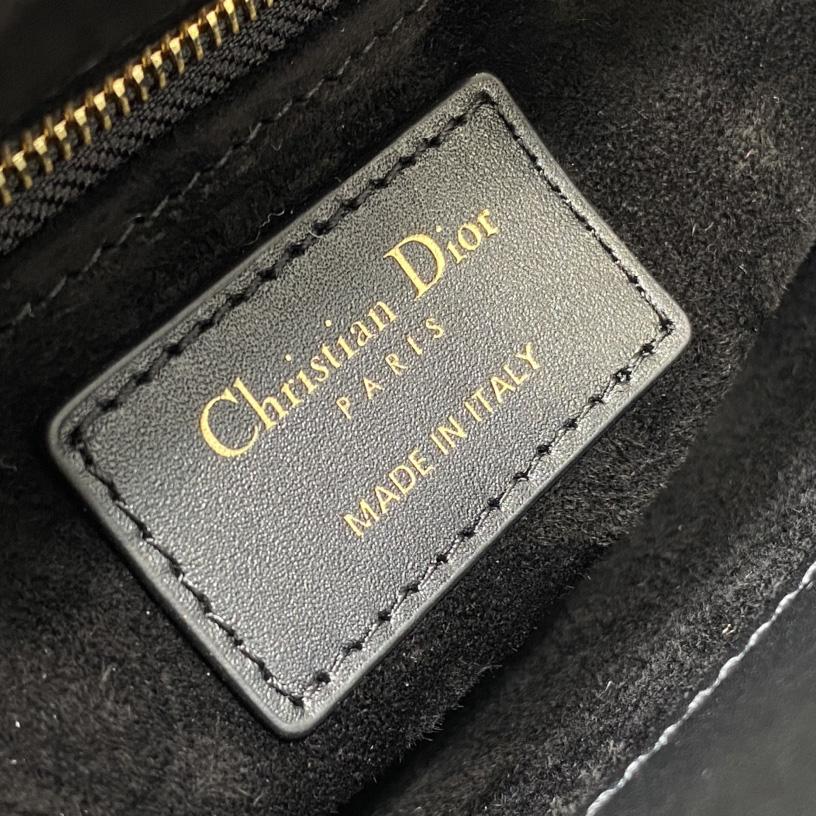 Dior Mini Lady Dior Bag   - PerfectKickZ