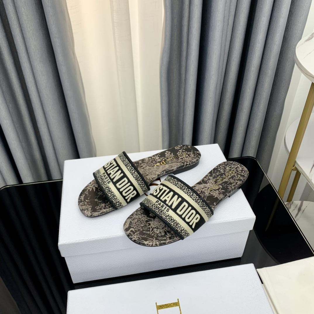 Dior Dway Slide - 