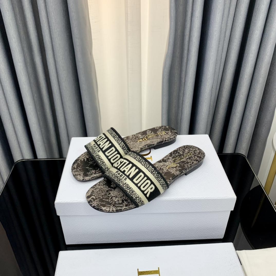 Dior Dway Slide - 