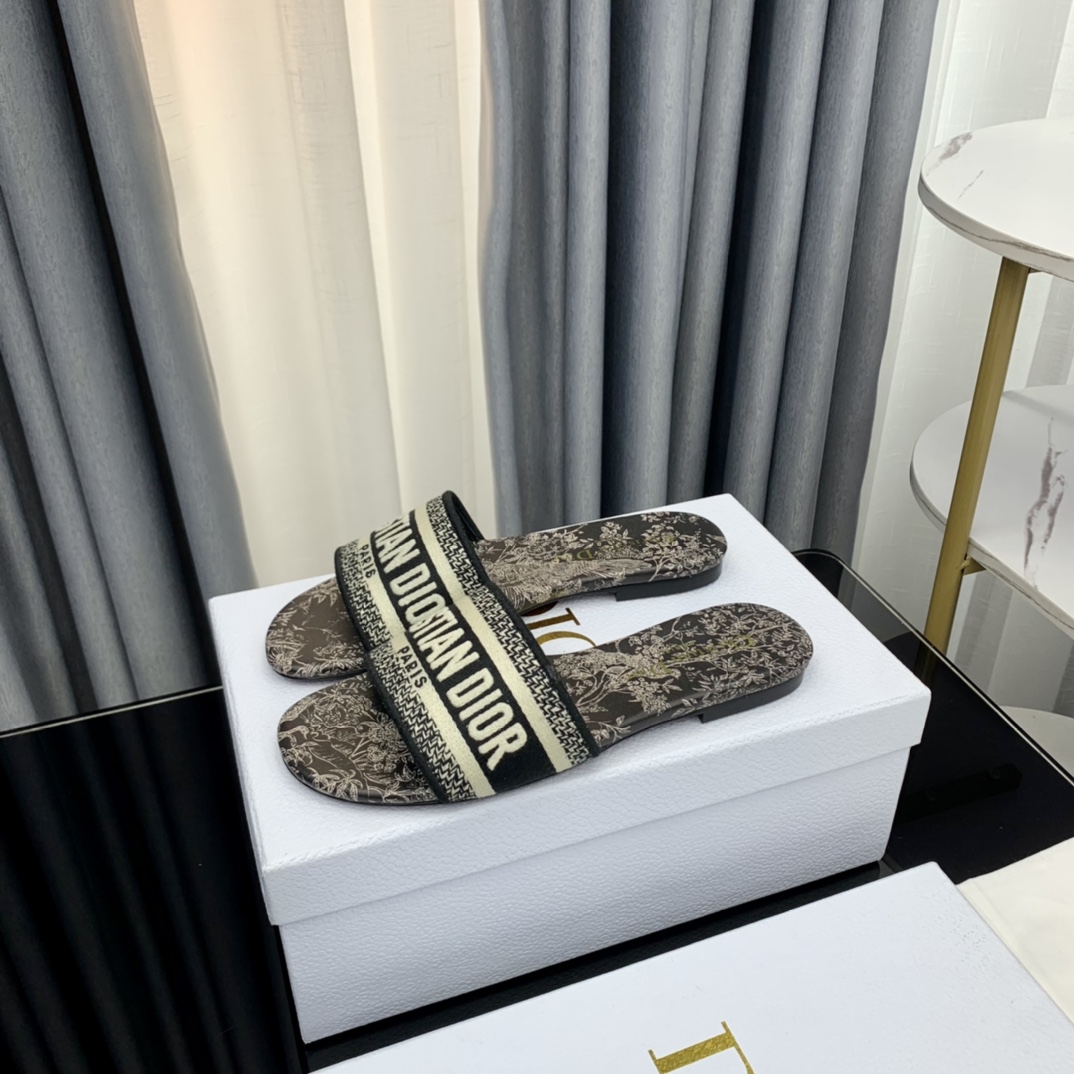 Dior Dway Slide - 