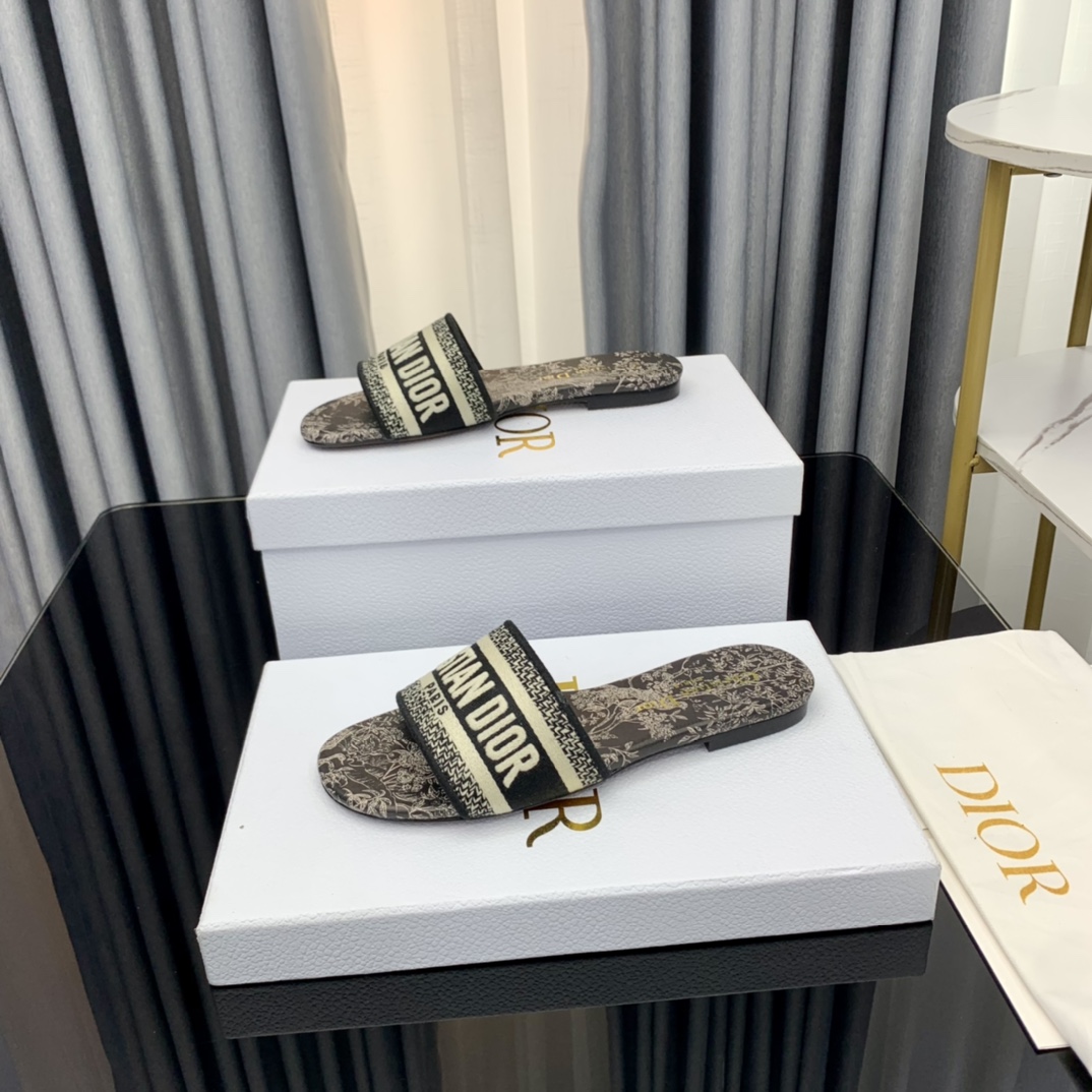 Dior Dway Slide - 
