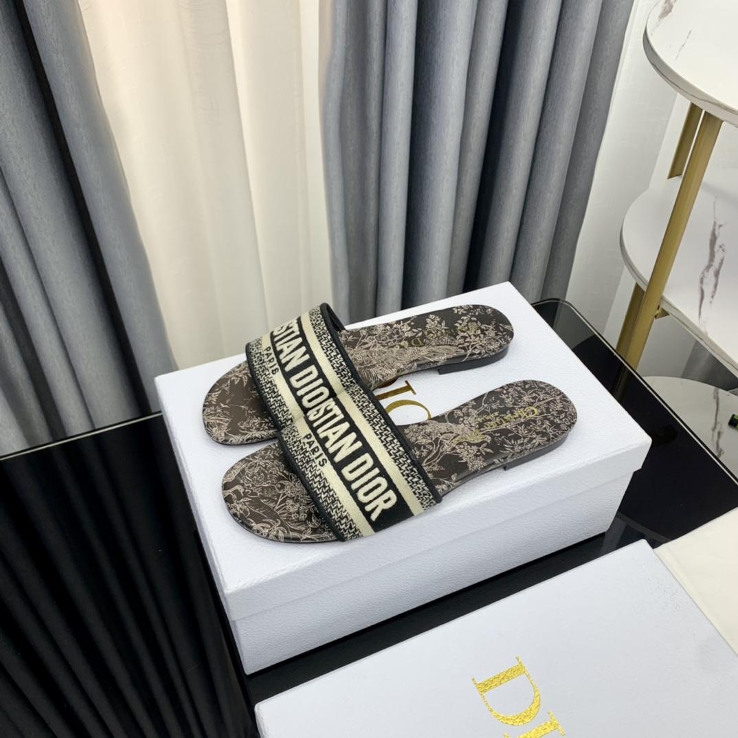 Dior Dway Slide - 
