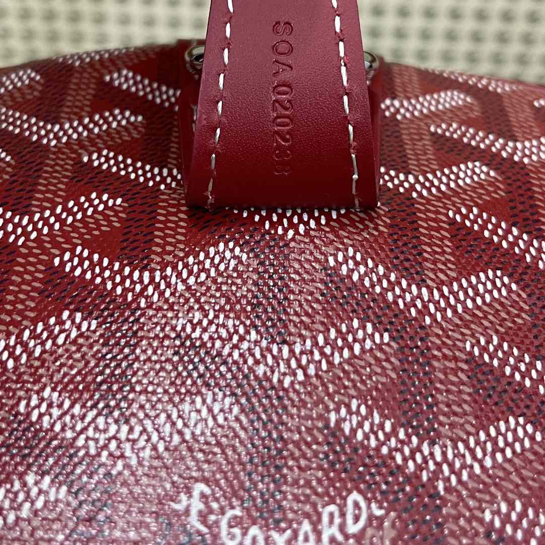 Goyard Boeing 50 Bag   50cm - PerfectKickZ