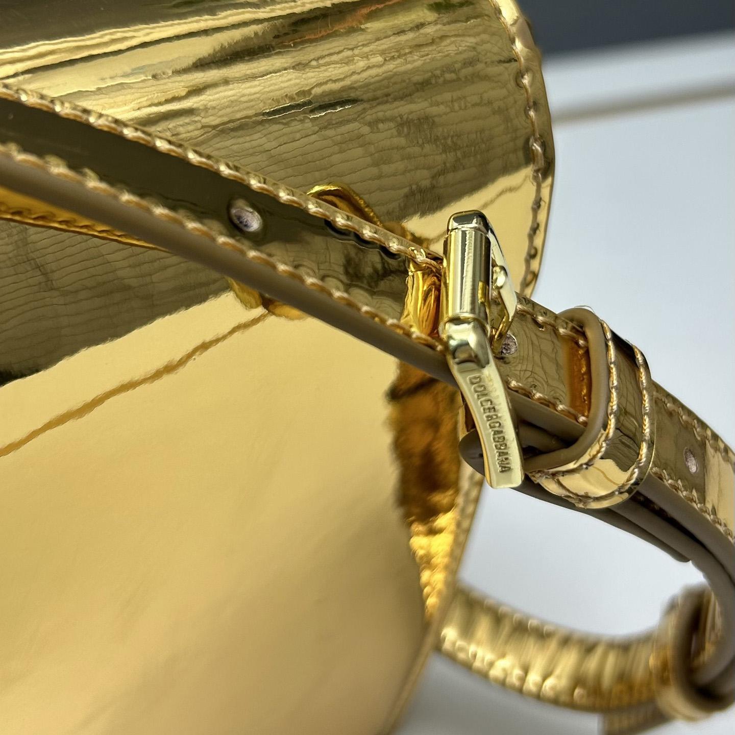 Dolce & Gabbana Metallic Logo Bag  (16*20*5.5cm) - PerfectKickZ