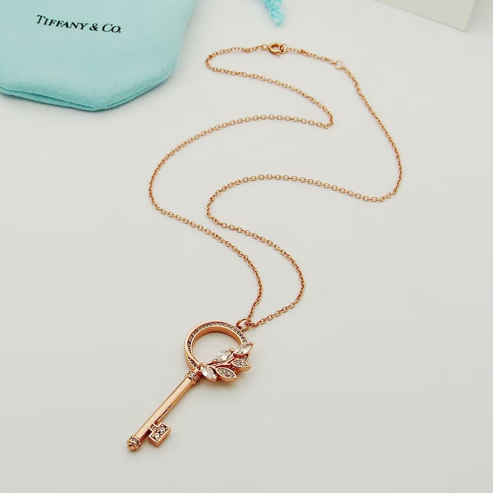 Tiffany & Co.  Diamond Vine Circle Key In Platinum - PerfectKickZ