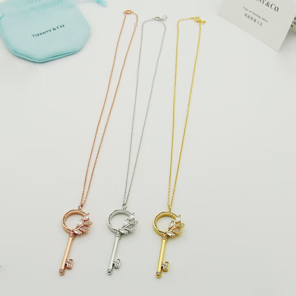 Tiffany & Co.  Diamond Vine Circle Key In Platinum - PerfectKickZ