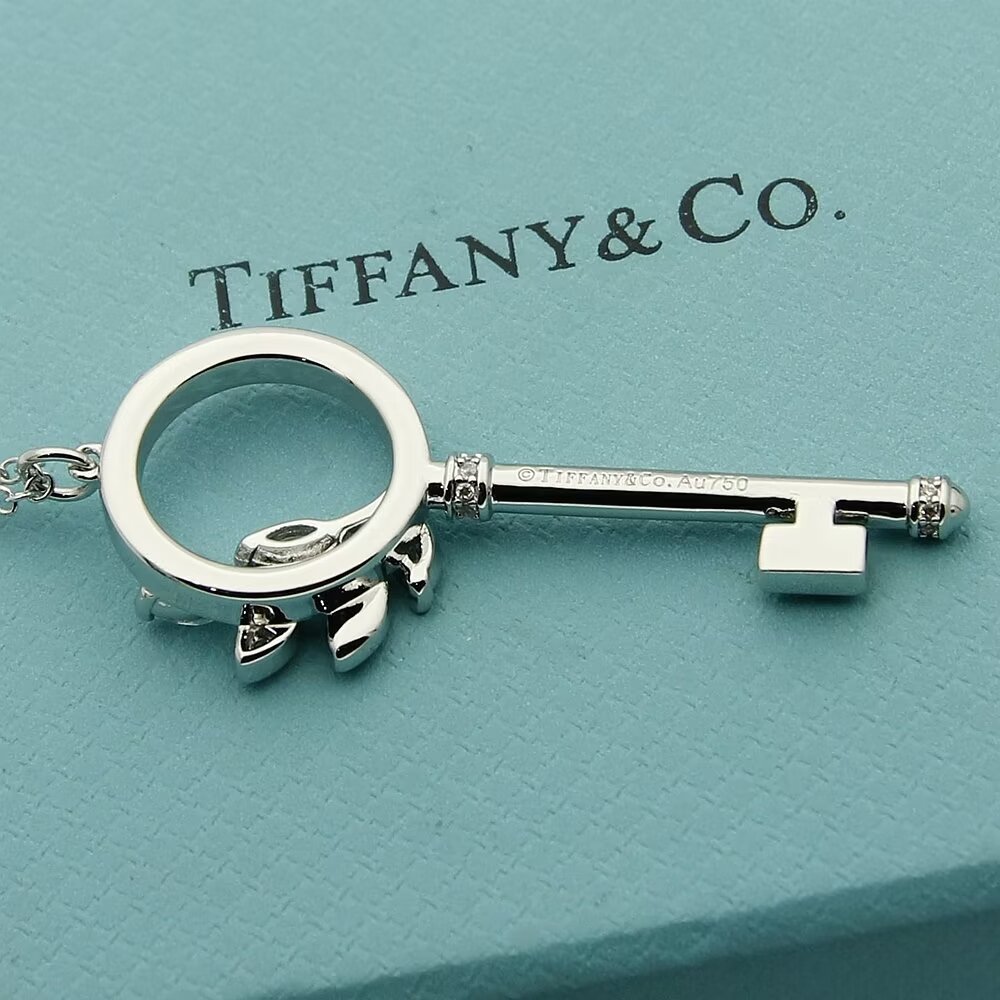 Tiffany & Co.  Diamond Vine Circle Key In Platinum - PerfectKickZ