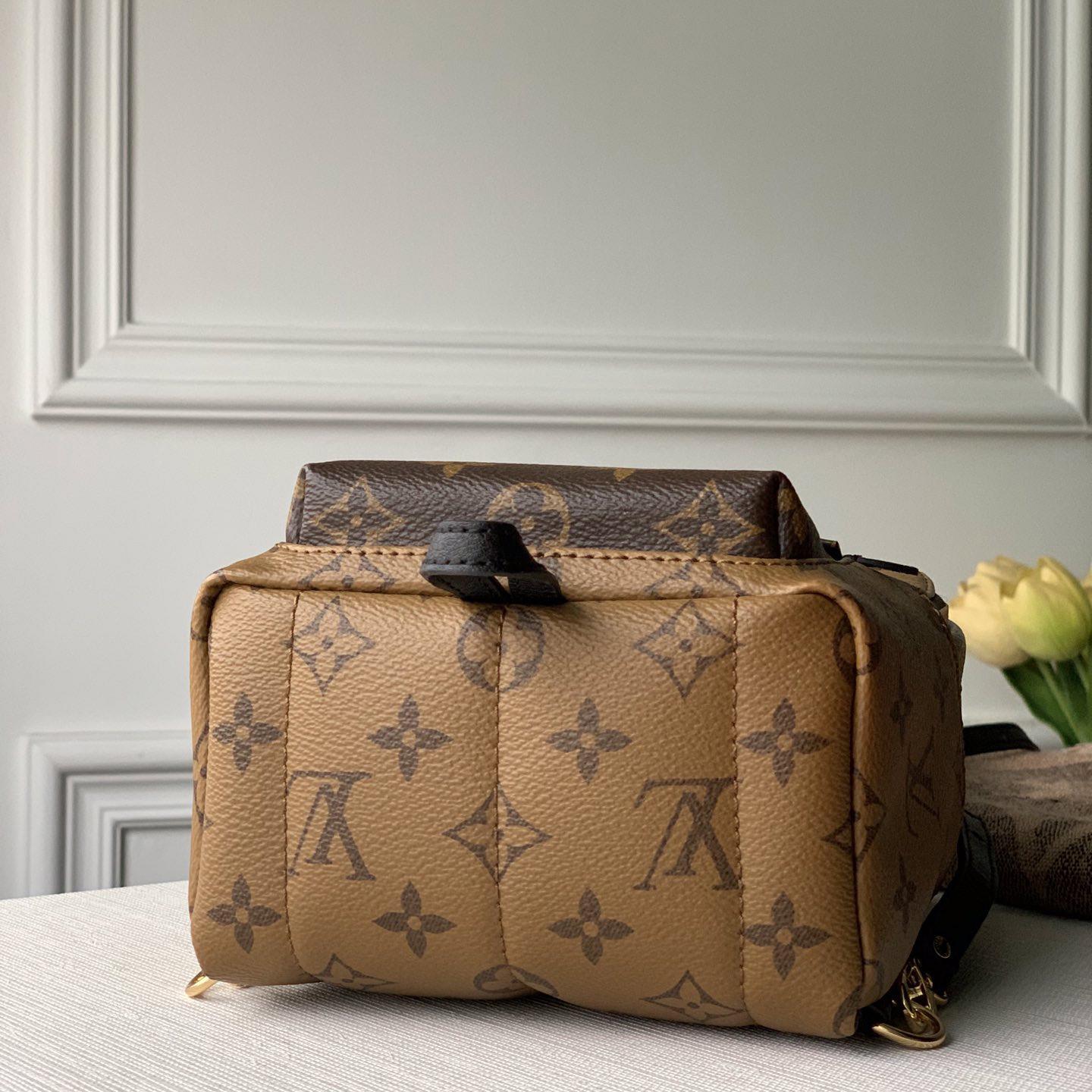 Louis Vuitton  Backpack   (17x22x10cm)  M44872 - 
