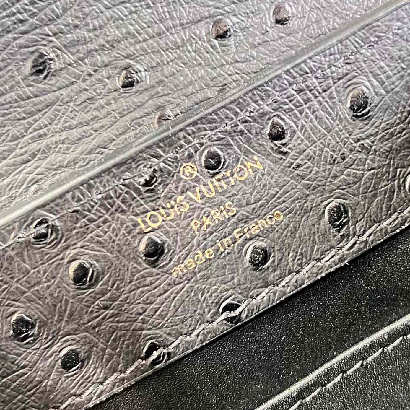 Louis Vuitton Capucines Mini  M93483 - PerfectKickZ