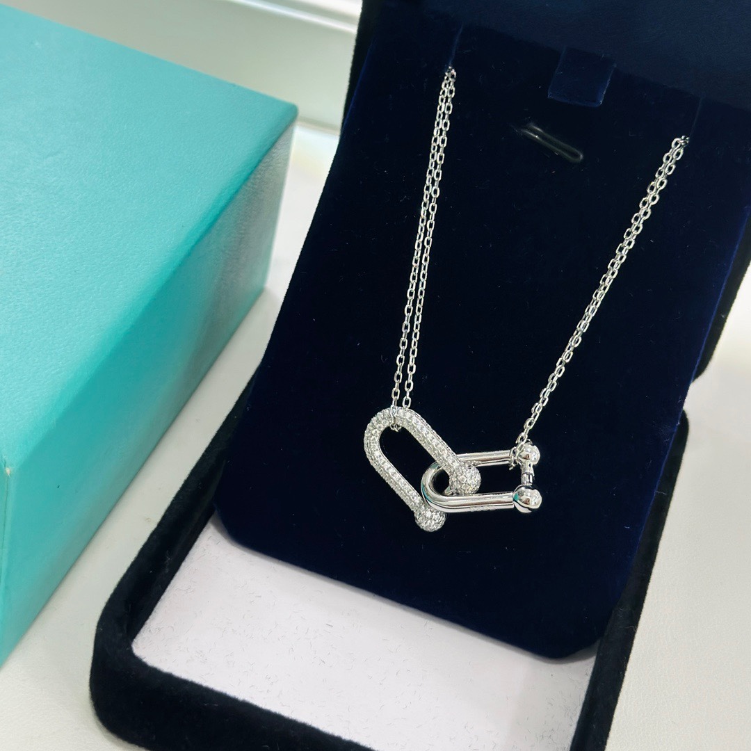 Tiffany & Co. Large Double Link Pendant - PerfectKickZ