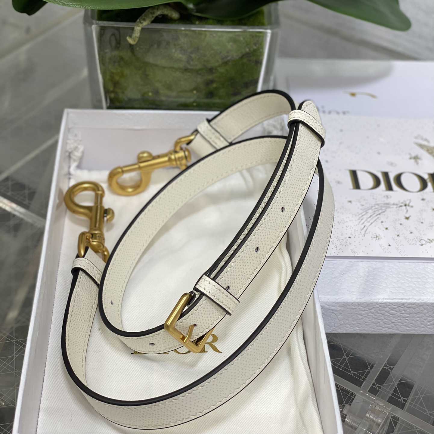 Dior Saddle Bag (24×6×18cm) - PerfectKickZ