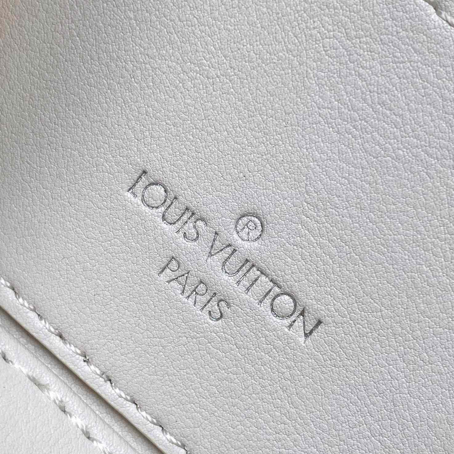 Louis Vuitton Vanity PM   M25219 - PerfectKickZ