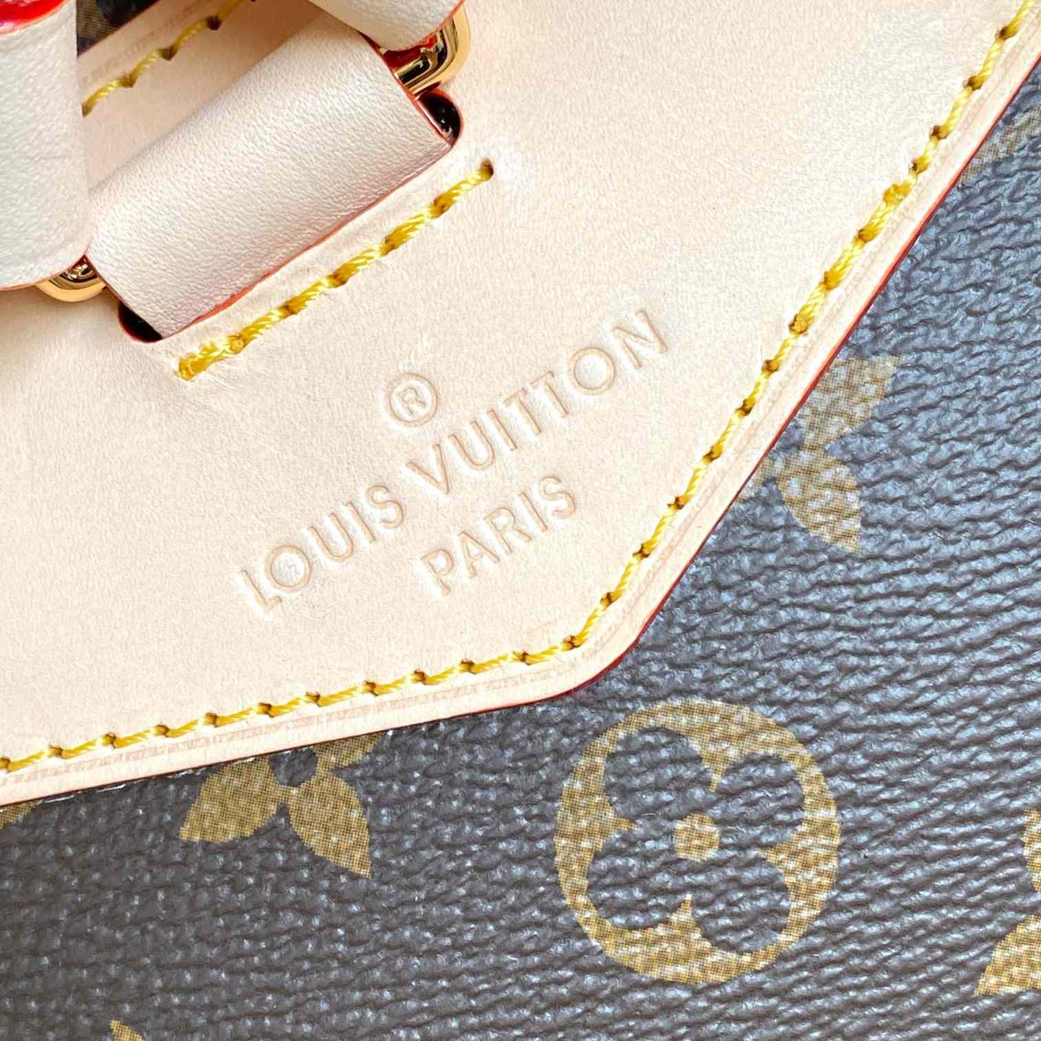Louis Vuitton Montsouris MM  M11197 - 