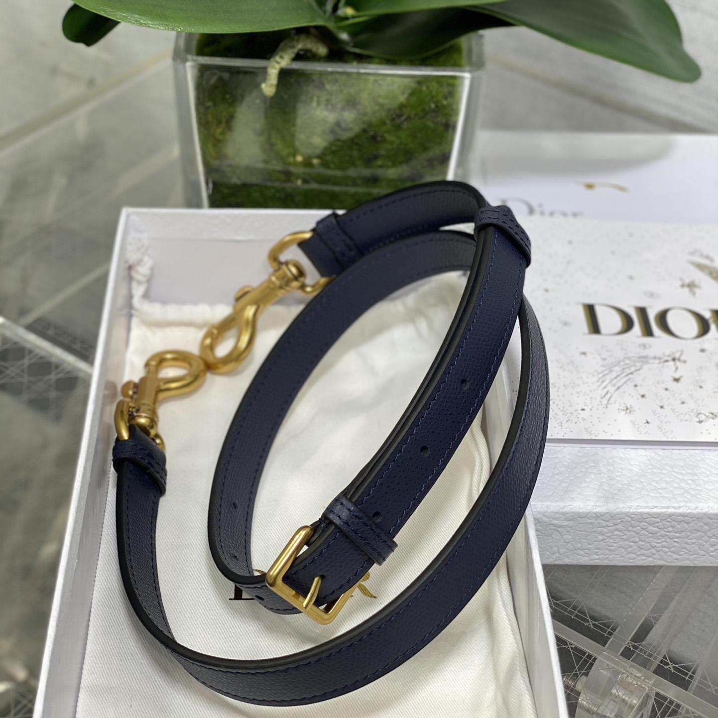 Dior Saddle Bag 17×5×15cm - PerfectKickZ
