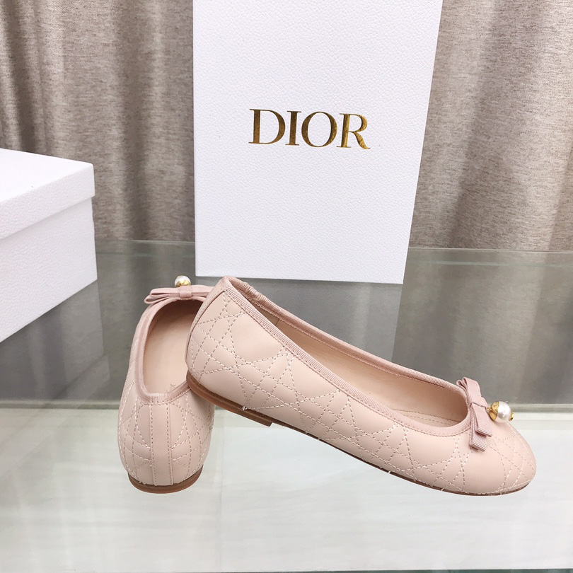 Dior Ballet Flat  - PerfectKickZ