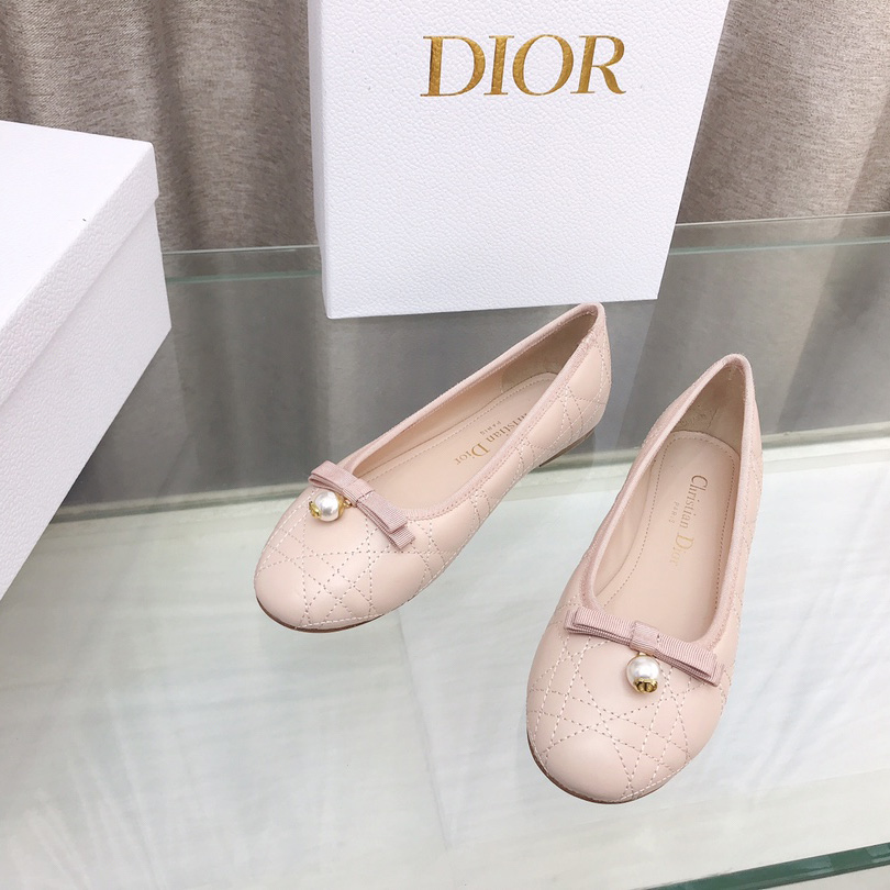 Dior Ballet Flat  - PerfectKickZ