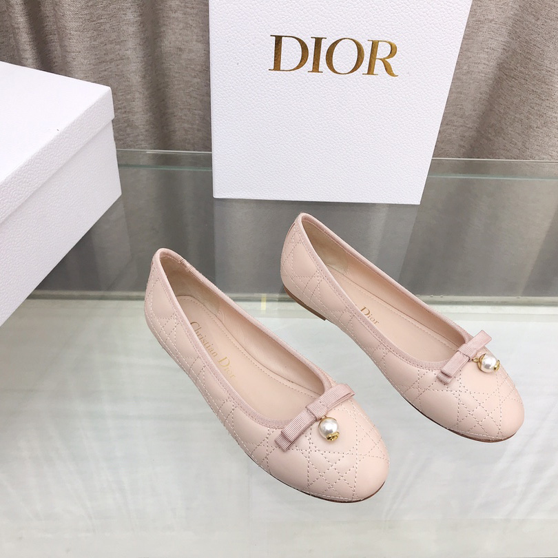 Dior Ballet Flat  - PerfectKickZ
