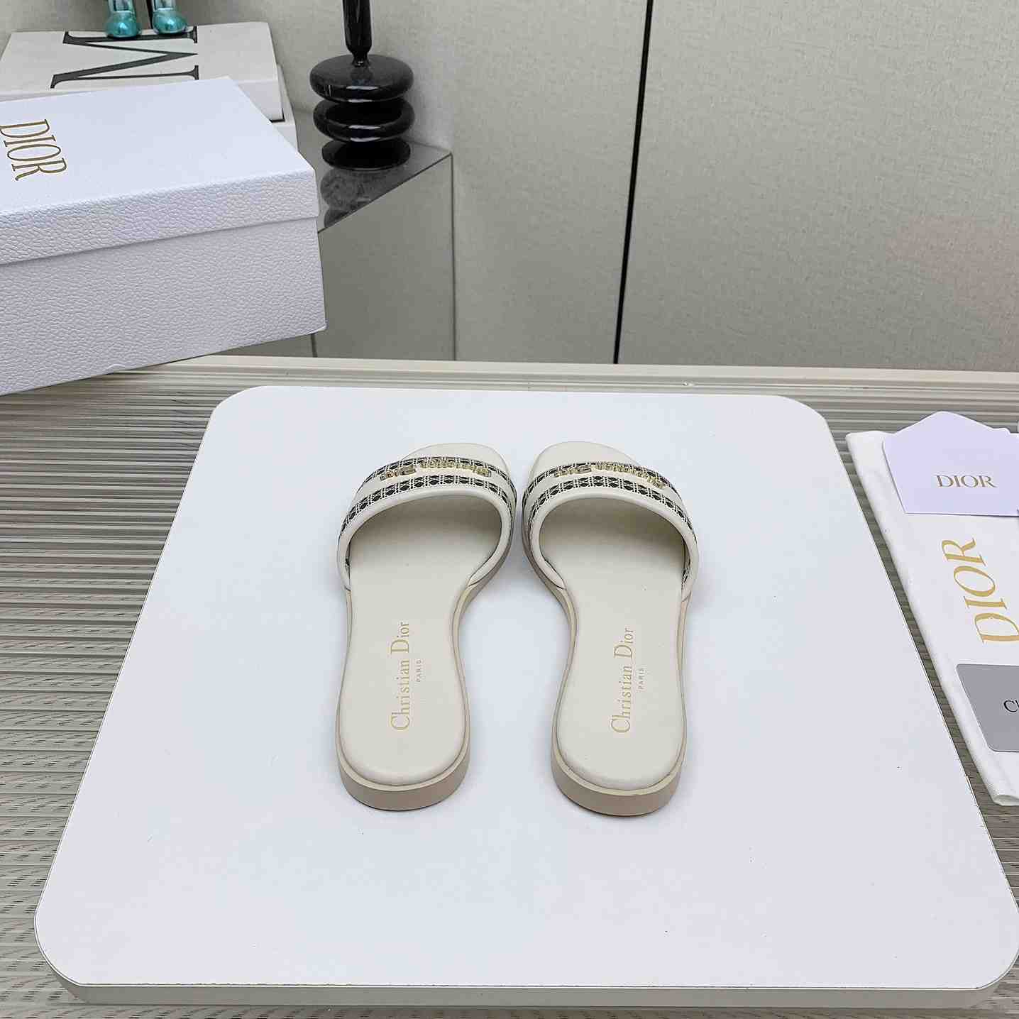 Dior D-Lane Slide  - PerfectKickZ