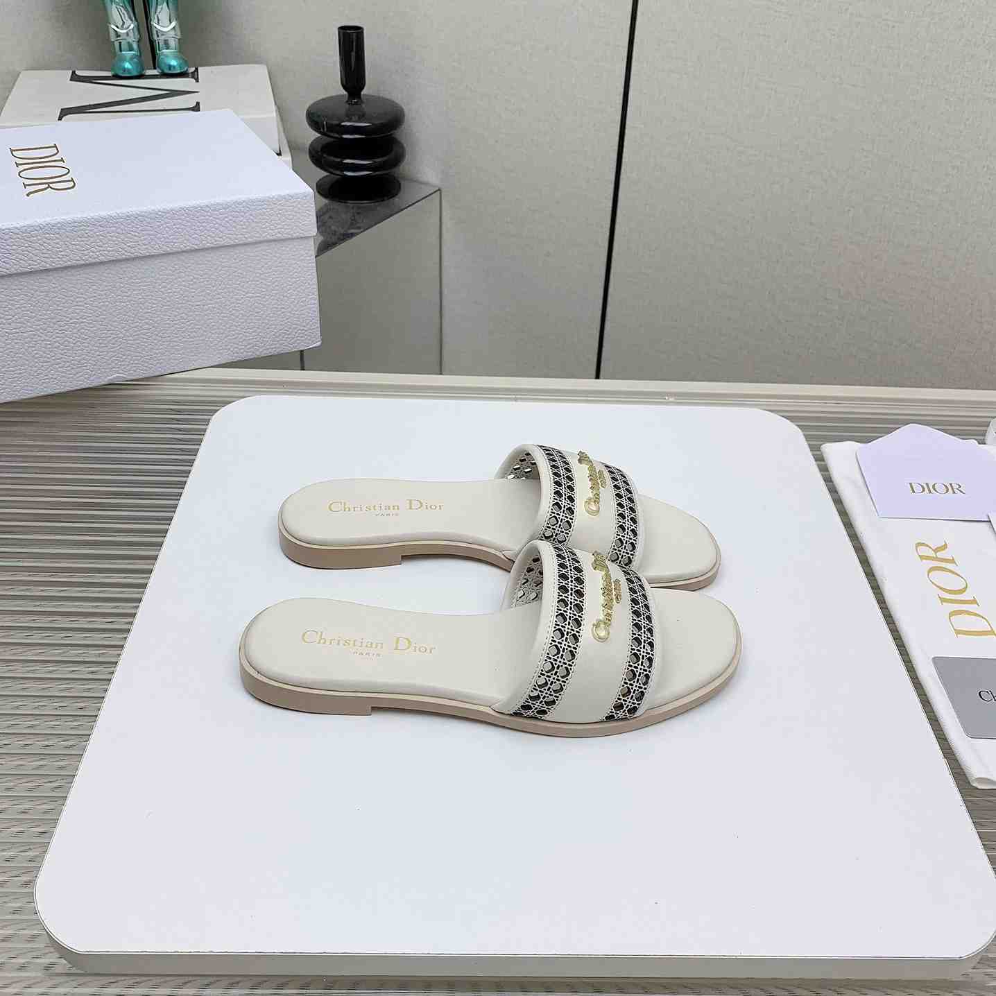 Dior D-Lane Slide  - PerfectKickZ