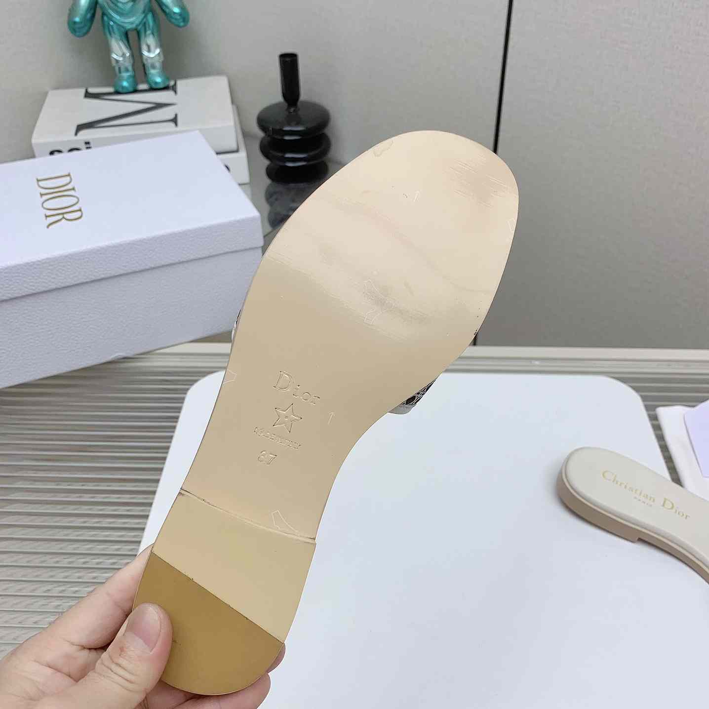 Dior D-Lane Slide  - PerfectKickZ