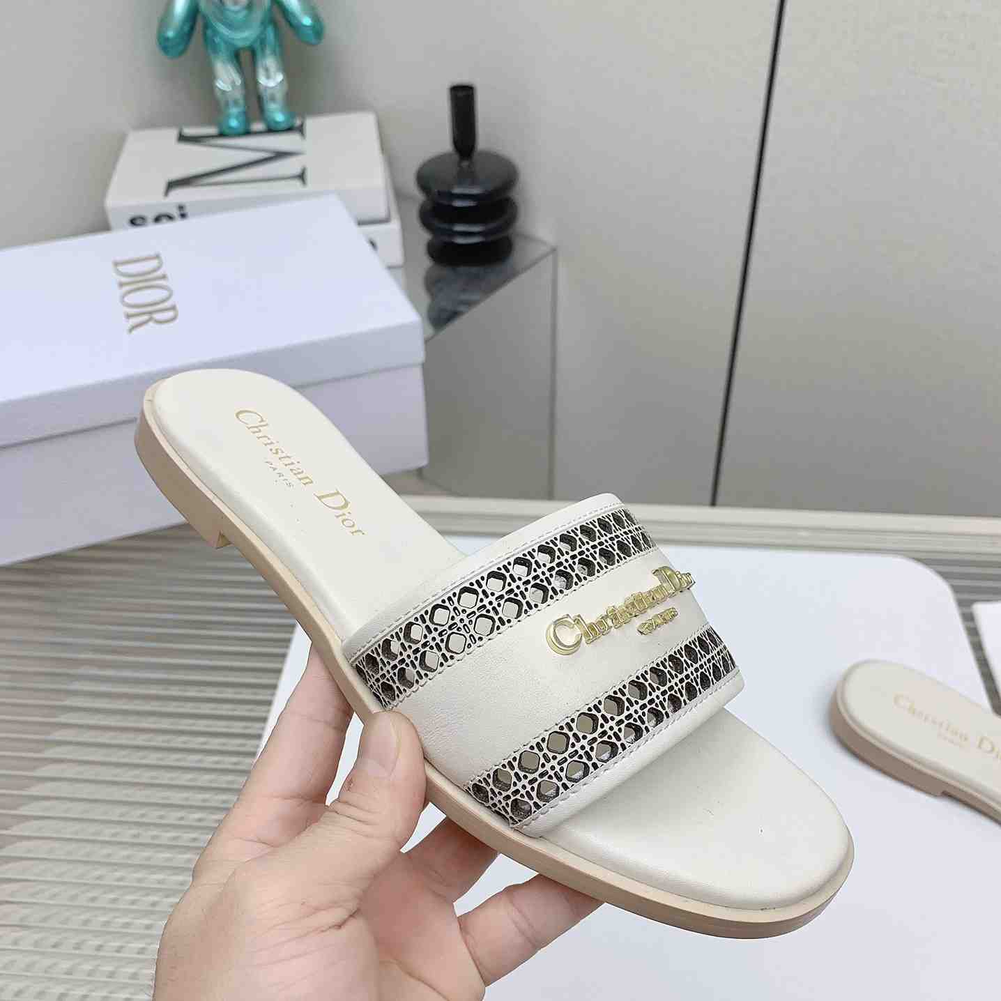 Dior D-Lane Slide  - PerfectKickZ