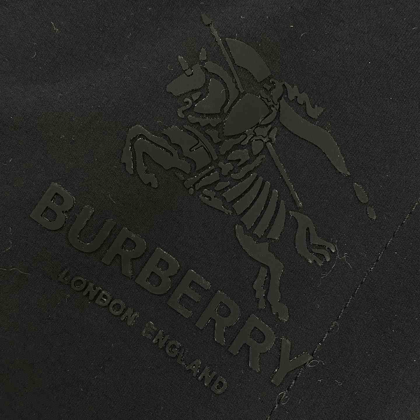 Burberry Jacket  - PerfectKickZ