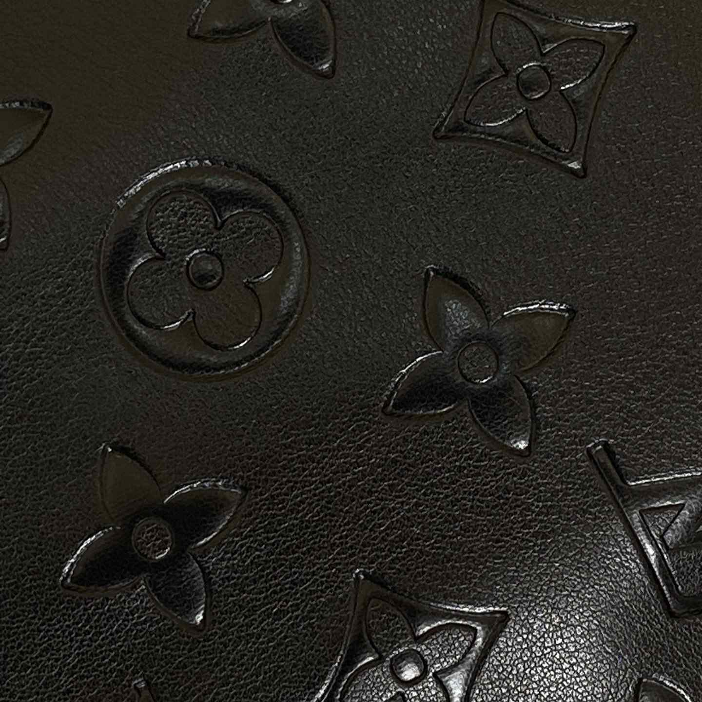 Louis Vuitton Down Blouson - 