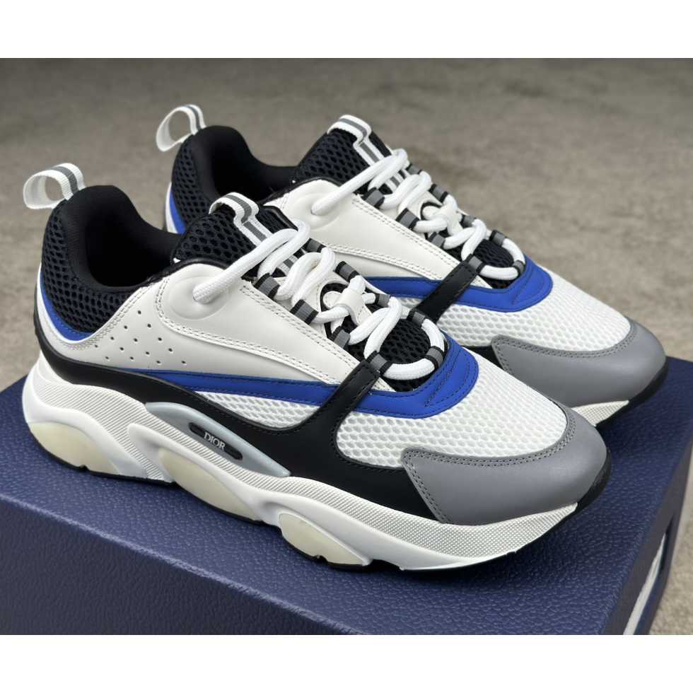 Dior B22 Sneaker  - PerfectKickZ
