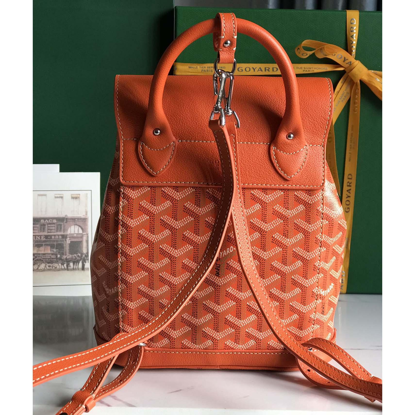 Goyard Alpin Mini Backpack - PerfectKickZ