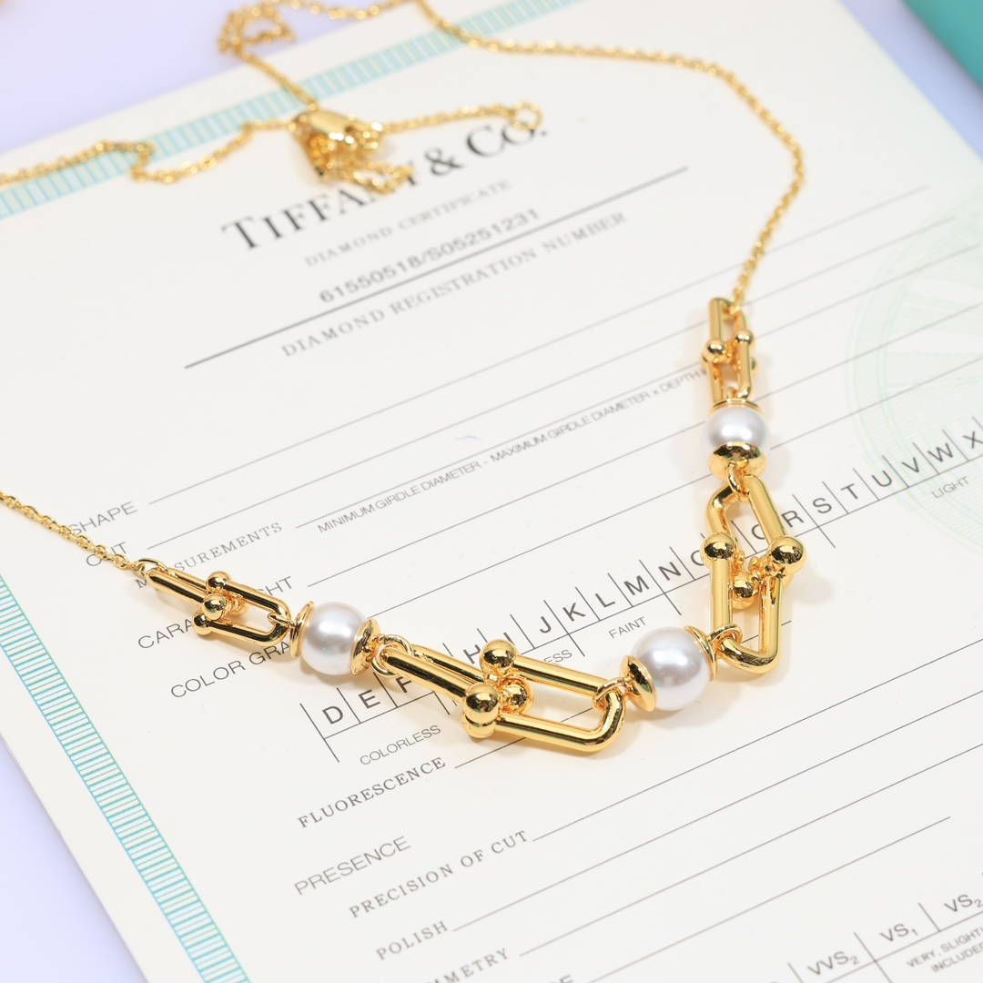Tiffany & Co. Link Necklace - PerfectKickZ