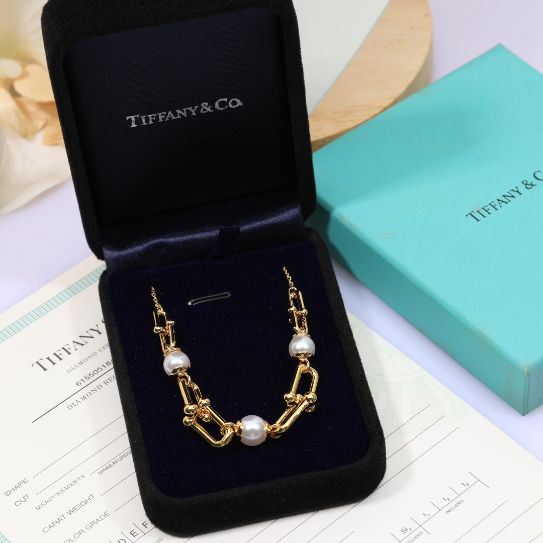 Tiffany & Co. Link Necklace - PerfectKickZ