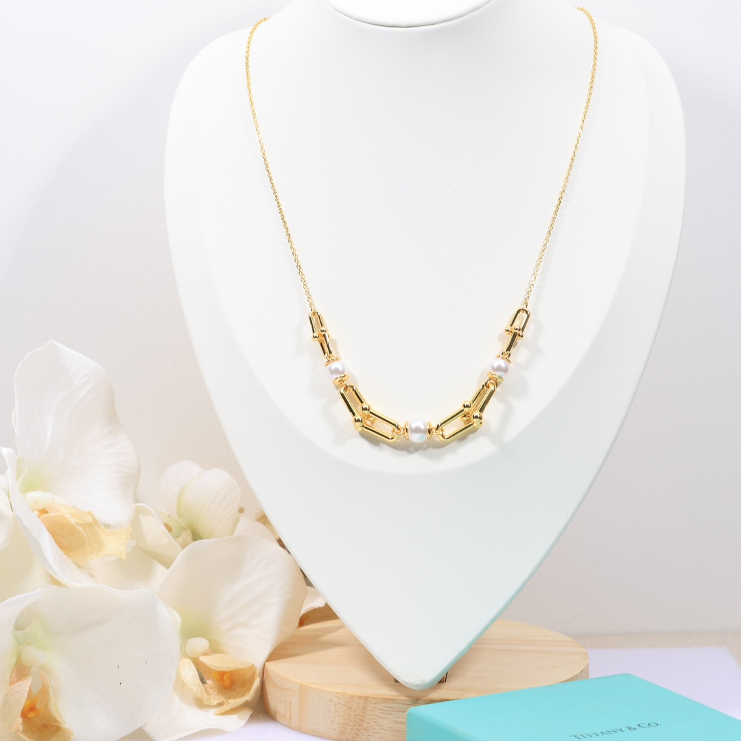 Tiffany & Co. Link Necklace - PerfectKickZ