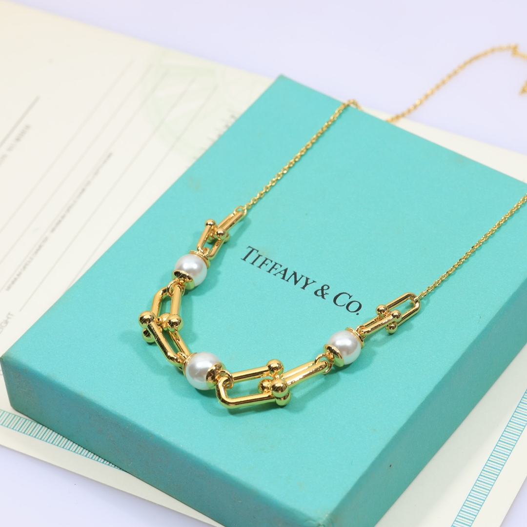 Tiffany & Co. Link Necklace - PerfectKickZ