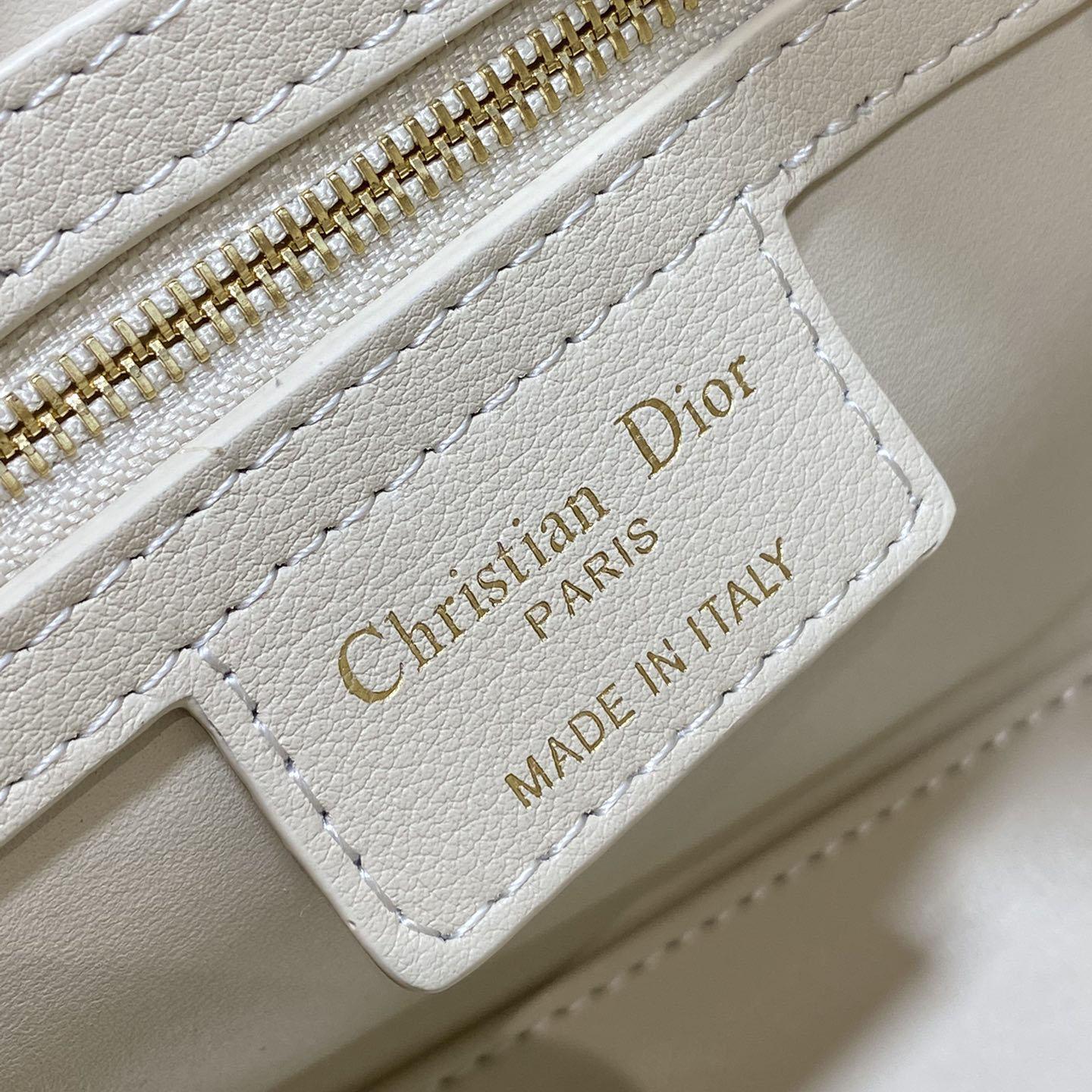 Dior Groove 20 Bag  - PerfectKickZ