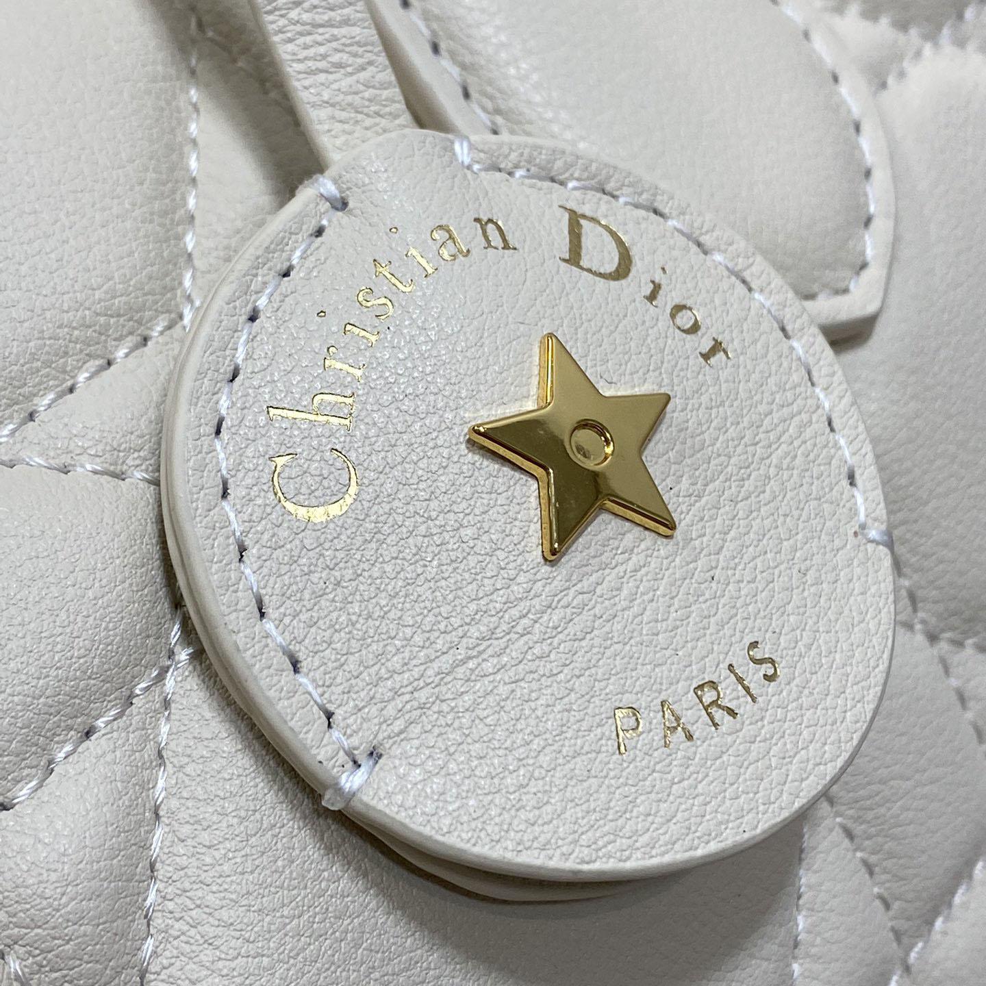 Dior Groove 20 Bag  - PerfectKickZ