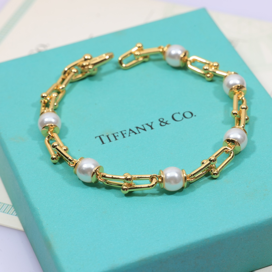 Tiffany & Co. Link Bracelet - PerfectKickZ