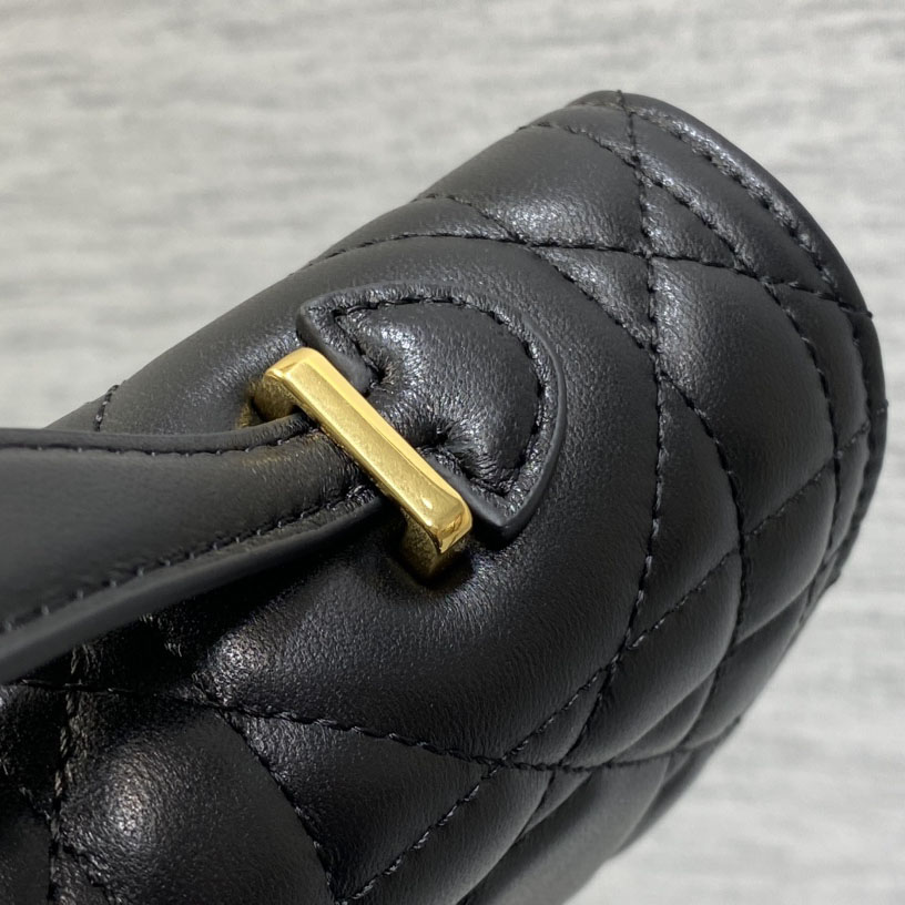 Dior Miss Caro Top Handle Pouch - PerfectKickZ
