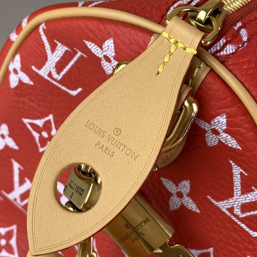 Louis Vuitton Speedy P9 Bandoulière 25   M24425 - PerfectKickZ