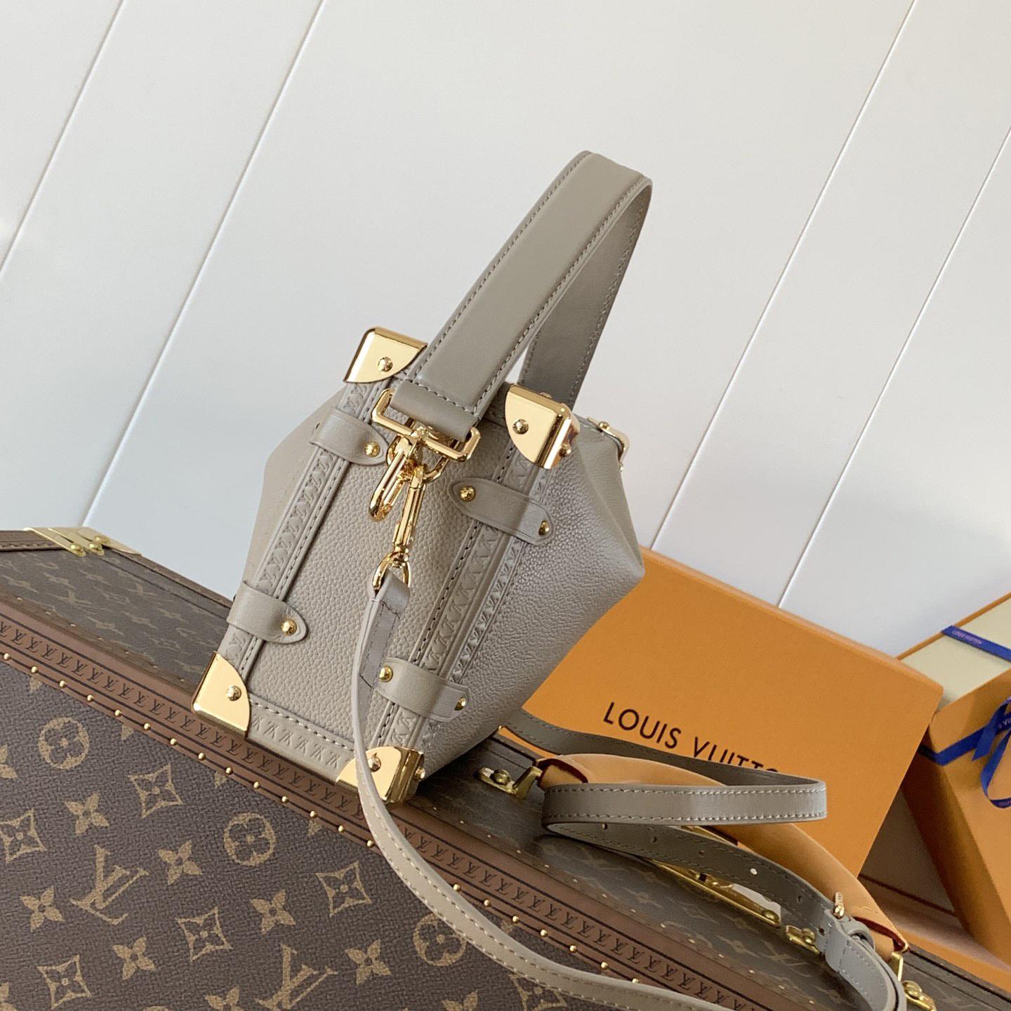 Louis Vuitton Side Trunk MM   M25072 - PerfectKickZ