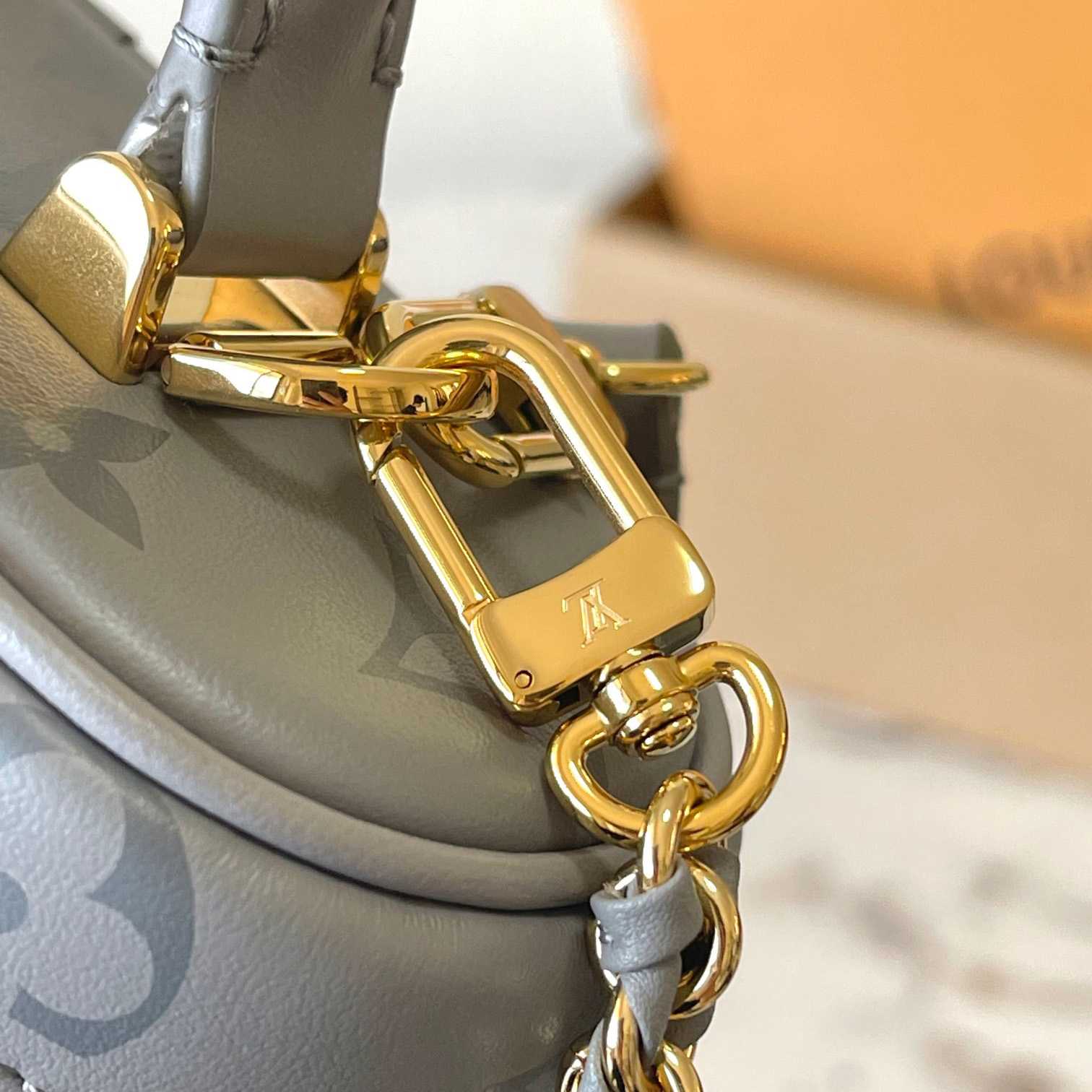 Louis Vuitton Vanity Chain Pouch    M12427 - PerfectKickZ
