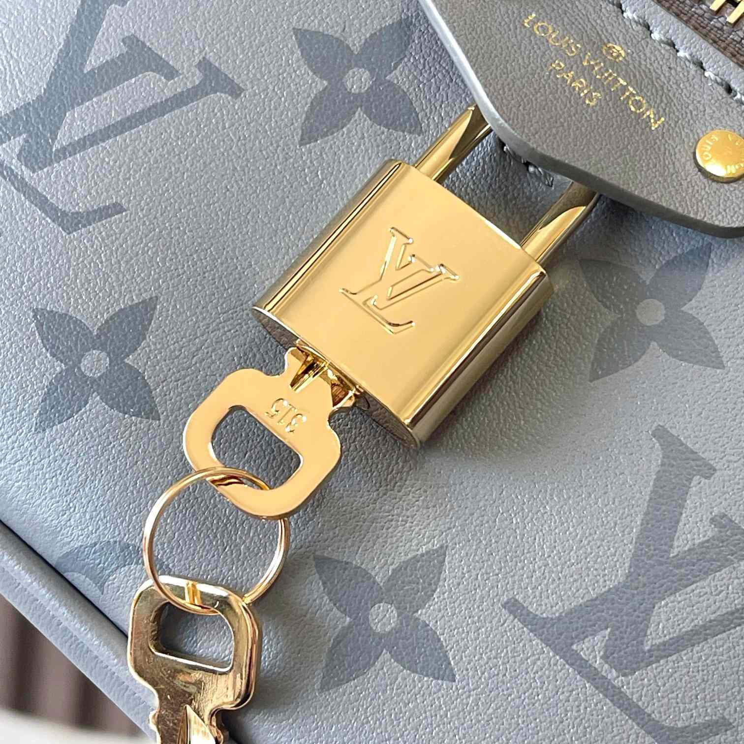 Louis Vuitton Vanity Chain Pouch    M12427 - PerfectKickZ